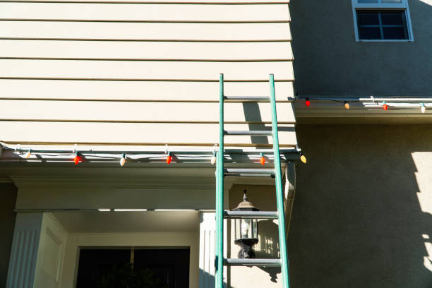 Best Stone Veneer Siding  in Meridian, MS