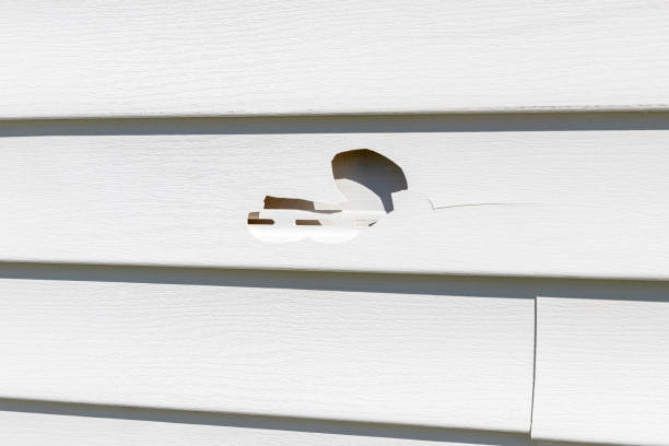 Trusted Meridian, MS Siding Installation & Repair Experts